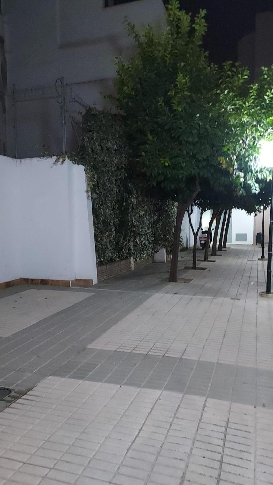 Alfonso Xii Center Séville